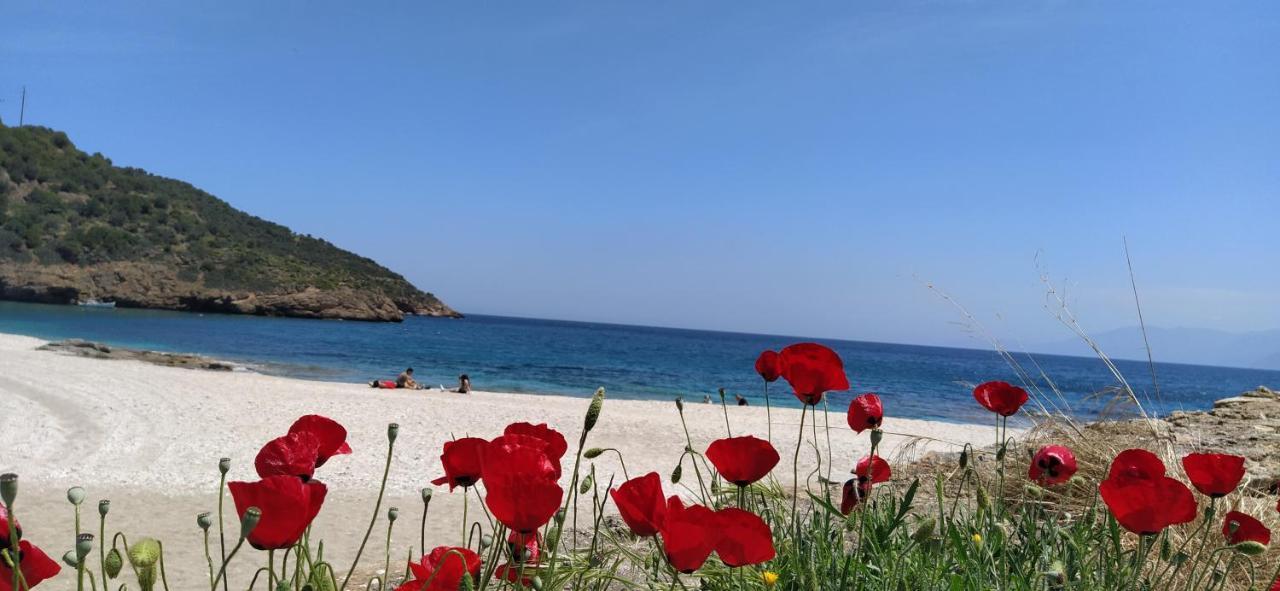 Rising Sun Guesthouse Mesochoria エクステリア 写真